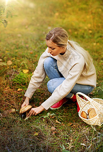 蘑菇女孩季节休闲的人的轻的女人带着篮子秋天的森林里采蘑菇轻的女人秋天的森林里采蘑菇背景