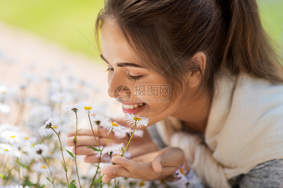 园艺人们的快乐的轻女人闻洋甘菊花夏季花园靠近闻洋甘菊花的女人图片