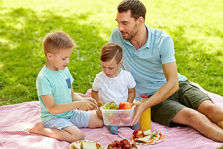 家庭休闲父爱的快乐的父亲两个小儿子夏季公园野餐快乐的家庭夏天的公园野餐图片