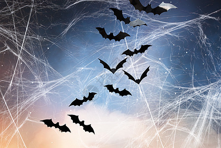 万节,装饰可怕的黑色蝙蝠飞过星空蜘蛛网的背景星空蜘蛛网上的黑色蝙蝠图片