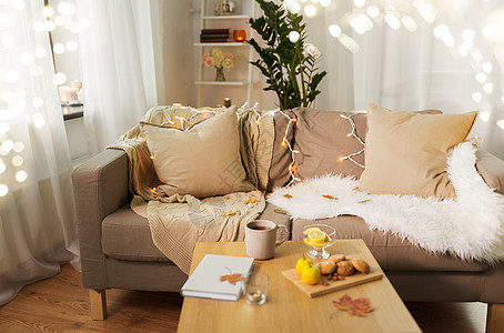 舒适,潮湿,舒适的家庭室内沙发与垫子花环灯客厅沙发垫子舒适的家庭客厅图片