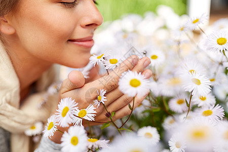 园艺人们的快乐的轻女人闻洋甘菊花夏季花园靠近快乐的女人闻洋甘菊花图片