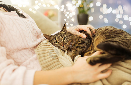 宠物,潮格人的女主与塔比猫床上家家里Tabby猫床上亲密主人图片