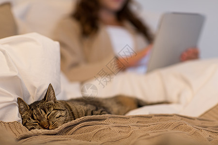 盖着毯子女人猫咪主人旁边睡觉背景