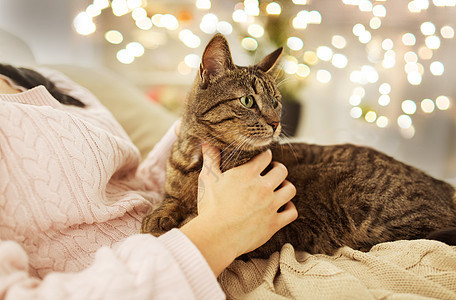 宠物,潮格人的女主与塔比猫床上家家里Tabby猫床上亲密主人图片