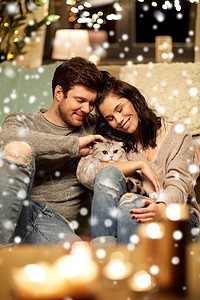 宠物,诞节人们的快乐的夫妇猫家里下雪快乐的家里猫图片
