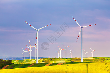 带风力发电机的春季黄色科尔扎场风力涡轮机公园发电绿色环境下奥地利,靠近珀斯多夫图片