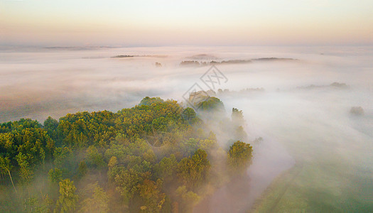 夏季自然景观航空全景晨雾笼罩着河流草地森林雾天日出时令人惊叹的自然阳光场景白俄罗斯,欧洲图片