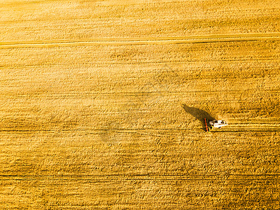 俯视麦田收割机场景工作联合收割机农业机收获金熟麦田农业俯视背景