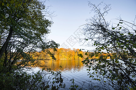 秋天的湖上,另边秋天色彩的树木高清图片
