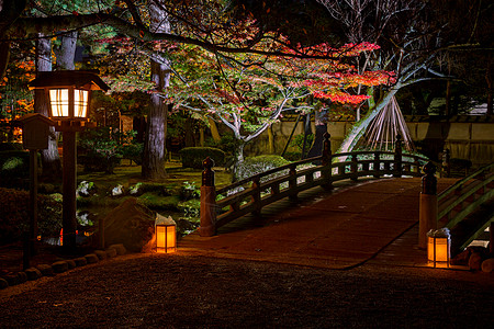 红枫叶季节Momijiri,金泽市,日本石川省,Kenrokuen花园照明桥照亮Kenrokuen花园Momij图片