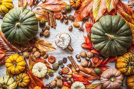 各种五颜六色的农场南瓜与热巧克力,坚果,香料秋叶,顶部视图秋天的静物与南瓜感恩节食谱平躺季节的图片