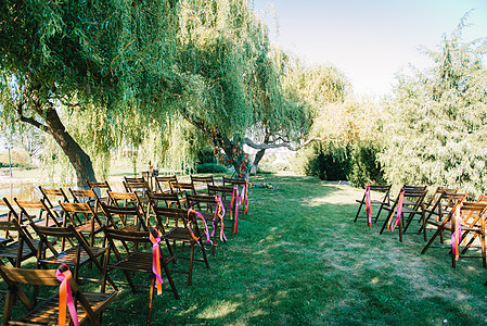 婚礼区域,拱椅装饰树木图片