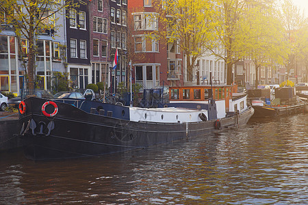 阿姆斯特丹秋天街道运河的黄树图片