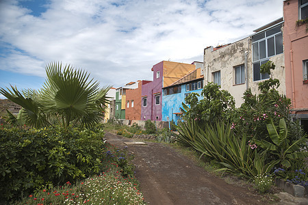 拉克鲁兹港岛上五颜六色的房子图片