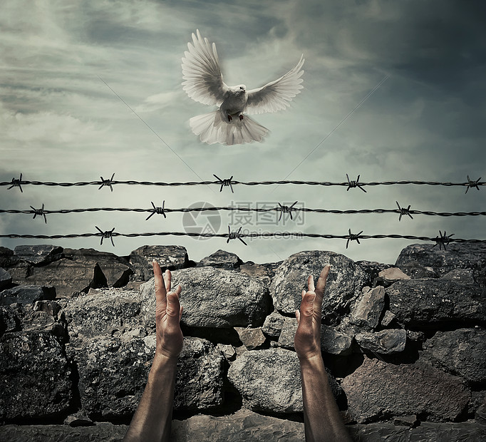 男人的手臂石墙栅栏的背景上,铁丝网,就像监狱里的囚犯只飞鸽上举手天空样需要宽恕解放平的图片