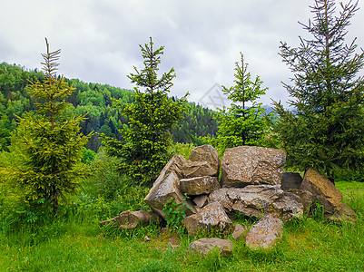 美丽的春天喀尔巴阡山,针叶林山顶自然景观,冷杉树堆石头同色调的绿色图片