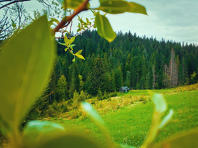 风景如画的春山景象与木屋小屋,透过绿化的树叶郁郁葱葱的牧场山谷上的所老房子,周围山上的松树林图片
