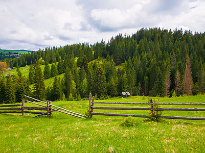 风景如画的春山景象与木制的分裂铁路围栏跨越个绿色郁郁葱葱的牧场,山谷上所老房子,周围针叶林图片