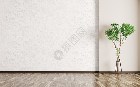 室内背景与混凝土墙,木地板植物三维渲染图片