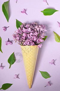 纸上紫色丁香的冰淇淋筒图片