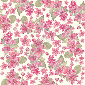 粉红色苹果树花的无缝图案粉红色花朵的无缝图案图片