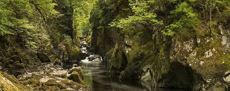 美丽的全景景观,河流流经深邃的峡谷,充满活力的绿色树叶背景图片