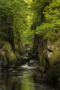 美丽的缥缈景观,深邃的峡谷,岩壁溪流流过郁郁葱葱的绿色植物图片