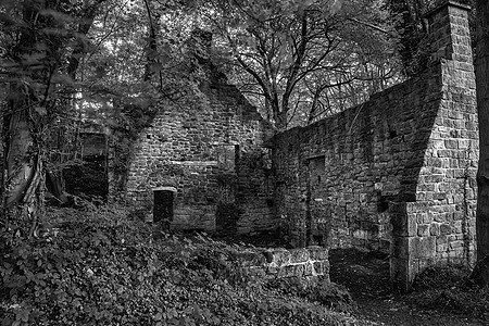 幽灵般的老废弃的废弃建筑厚厚的森林景观中,黑白相间图片