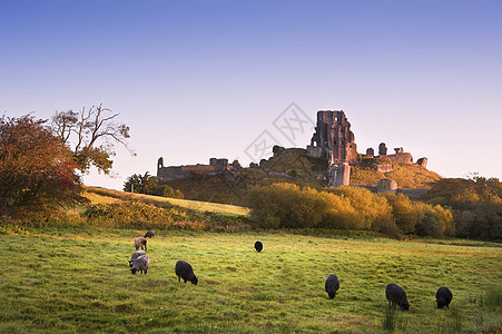 英格兰,多塞特,考夫朝向考夫城堡的景色古老的中世纪城堡遗址夏季日出景观图像图片