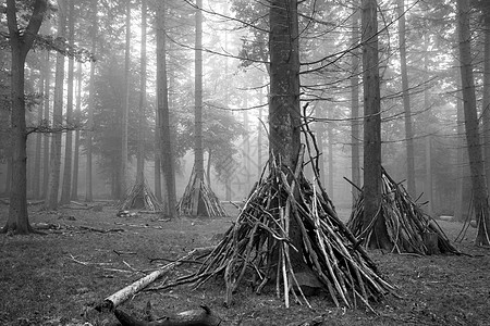 雾状AUTU森林景观中儿童的DEN建筑积英国雾蒙蒙的秋天早晨,黑白相间的林地景观中,儿童的DEN建筑积图片