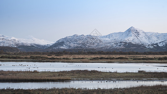 美丽的冬季日出景观形象雪登山奥特雪多尼亚公园雪登山其他山峰的美丽冬季景观形象背景图片