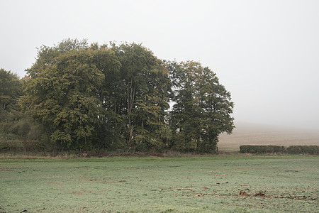 雾蒙蒙的秋晨景观英国农村英国乡村雾蒙蒙的秋晨景观高清图片