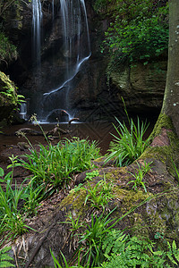 美丽平静的瀑布景观粗糙的林诺森姆惊人的瀑布景观粗糙的林恩诺森伯兰公园英国图片