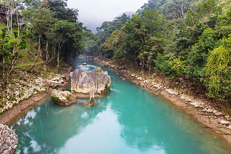 大森林美丽的溪流雨林中流淌哥斯达黎加,洲背景