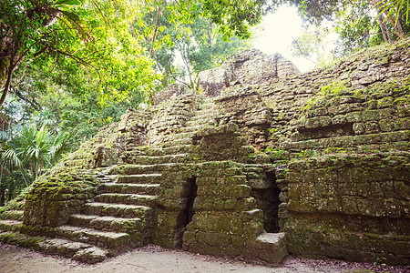 著名的古代玛雅寺庙蒂卡尔公园,危地马拉,洲背景