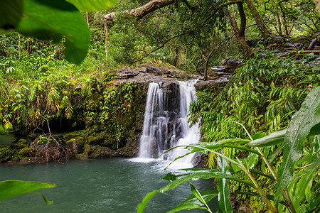 夏威夷的瀑布美国夏威夷岛热带雨林丽的瀑布图片