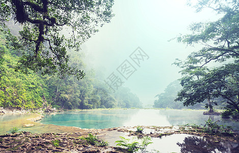 危地马拉的游泳池美丽的天然游泳池SEMUCChampey,兰金,危地马拉,洲图片