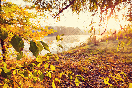 秋天的湖秋天美丽的湖图片