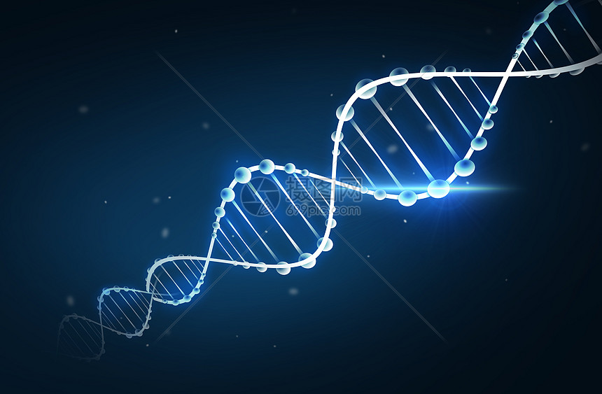 dna分子化学结构