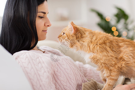 宠物,潮格人的女主与红色塔比猫床上家把主人红猫关家里的床上图片