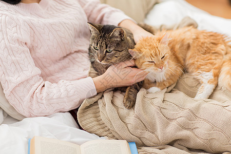 宠物,人的女主与红色塔比猫床上床上用红色Tabby猫主人图片