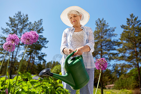 园艺人们的快乐的老年女子夏天的花园里浇花老妇女夏季花园浇花老妇女夏季花园浇花图片