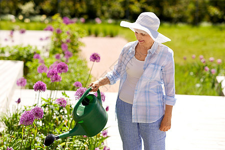 园艺人们的快乐的老年女子夏天的花园里浇花老妇女花园里浇花图片