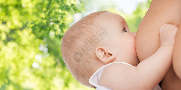 母乳喂养,母婴儿绿色自然背景下密切吸吮婴儿母亲乳房婴儿吮吸母亲的乳房图片