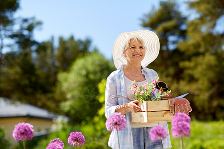 园艺人的老年女子园丁与花园工具花木箱夏天高级女子花园工具鲜花夏天图片