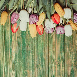 木板上的镜头颜色郁金香破旧别致的绿色木板上的弹簧董事会上的彩色郁金香背景