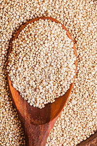 白色藜麦种子放木碗里的木勺子上堆藜麦颗粒背景图片