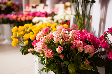 收集美丽的玫瑰家花卉商店出售花店里的花玫瑰图片