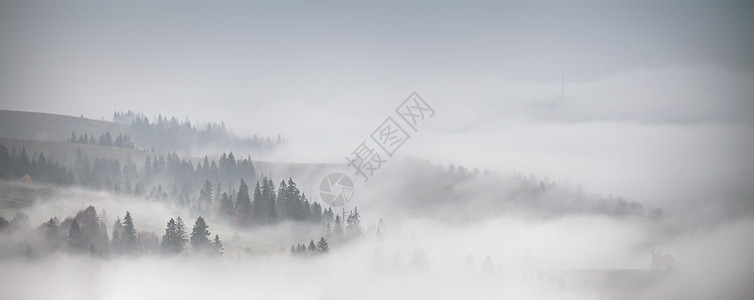 低云覆盖的森林全景秋天的雨雾山上薄雾坠落林地图片